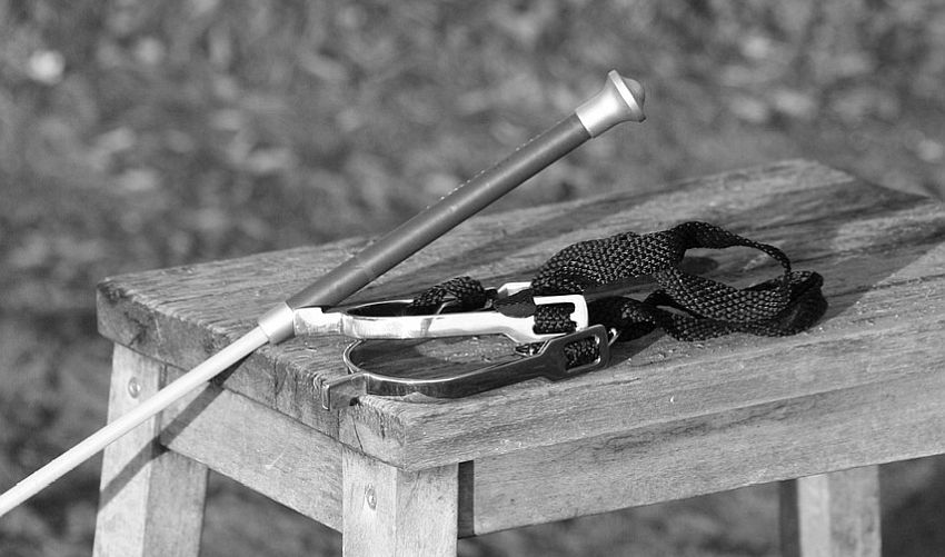 Das erste Mal - Unter der Gerte